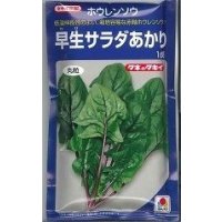 送料無料　[ほうれんそう]　早生サラダあかり　1dl　タキイ種苗(株)