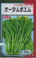 送料無料　[葉物]　オータムポエム　20ml　（株）サカタのタネ