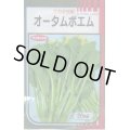 送料無料　[葉物]　オータムポエム　20ml　（株）サカタのタネ