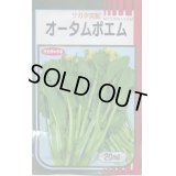 送料無料　[葉物]　オータムポエム　20ml　（株）サカタのタネ