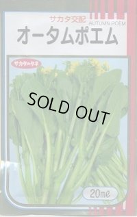 送料無料　[葉物]　オータムポエム　20ml　（株）サカタのタネ