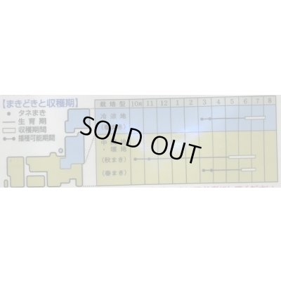 画像2: 送料無料　[えんどう]　スナップエンドウ　グルメ　18ml(およそ30粒)　タキイ種苗(株)　GF