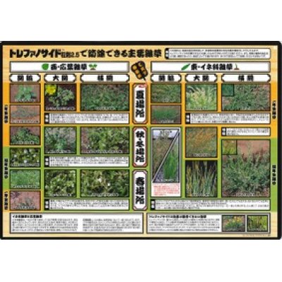 画像2: 農薬　除草剤　トレファノサイド　3ｋｇ