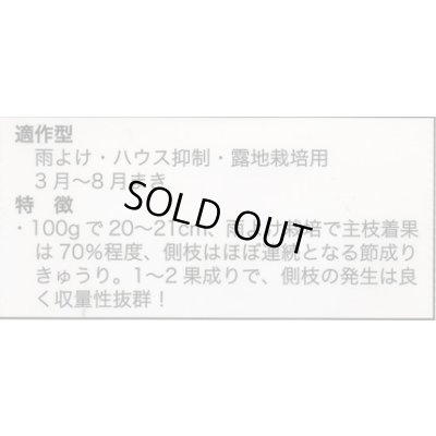 画像2: 送料無料　[キュウリ]　シャキット　15粒　タキイ種苗(株)　DF