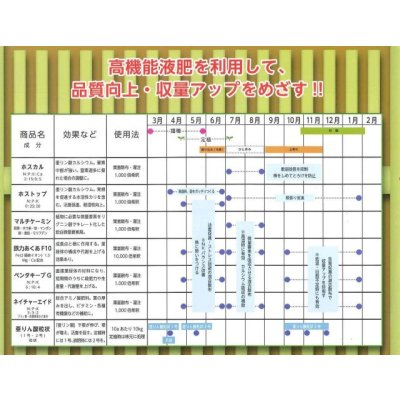 画像4: 送料無料 [ねぎ] 夏扇パワー ペレット種子 6000粒 (株)サカタのタネ
