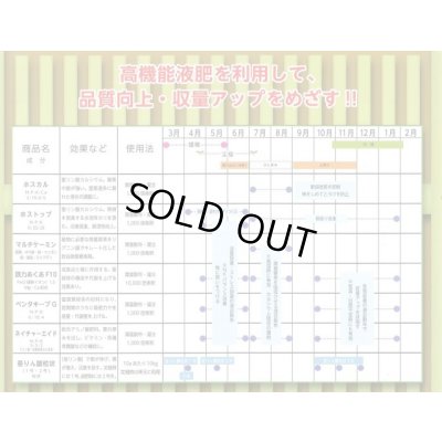 画像4: 送料無料　[ねぎ]　夏扇パワー　ペレット種子　6000粒　(株)サカタのタネ