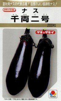 [なす]　千両二号　200粒　タキイ種苗（株）