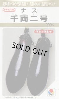 送料無料　[なす]　千両二号　200粒　タキイ種苗(株)