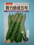 送料無料　[キュウリ]　青力節成五号　1.3ml　(株)タカヤマシード
