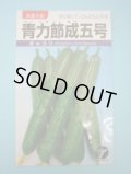 送料無料　[キュウリ]　青力節成五号　1.3ml　(株)タカヤマシード