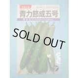 送料無料　[キュウリ]　青力節成五号　1.3ml　(株)タカヤマシード