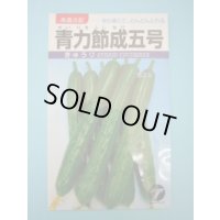 送料無料　[キュウリ]　青力節成五号　1.3ml　(株)タカヤマシード
