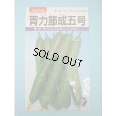 画像1: 送料無料　[キュウリ]　青力節成五号　1.3ml　(株)タカヤマシード