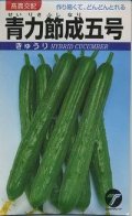 送料無料　[キュウリ]　青力節成五号　20ml(株)タカヤマシード