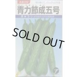送料無料　[キュウリ]　青力節成五号　20ml(株)タカヤマシード