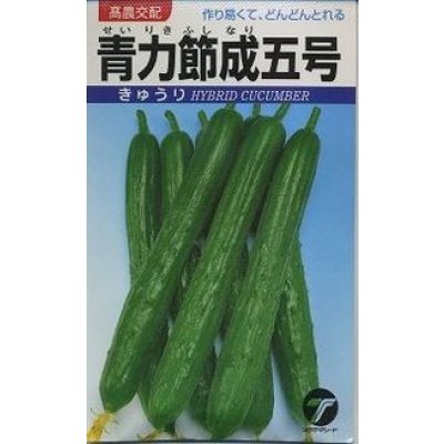 画像1: 送料無料　[キュウリ]　青力節成五号　20ml(株)タカヤマシード