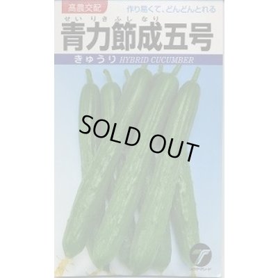 画像1: 送料無料　[キュウリ]　青力節成五号　20ml(株)タカヤマシード