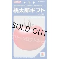 送料無料　[トマト/桃太郎系]　桃太郎ギフト　1000粒　2L　ペレット種子　タキイ種苗(株)