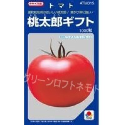 画像1: [トマト/桃太郎系]　送料無料！　桃太郎ギフト　1000粒 2L ペレット種子　タキイ種苗（株）