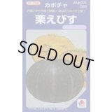 送料無料　[かぼちゃ]　栗えびす　100粒　タキイ種苗(株)