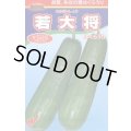 送料無料　[瓜類]　青はぐらうり　若大将　17粒　渡辺農事（株）