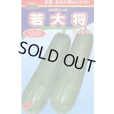 送料無料　[瓜類]　青はぐらうり　若大将　17粒　渡辺農事（株）