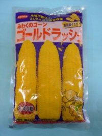 [とうもろこし]　ゴールドラッシュ　2000粒　サカタ交配　