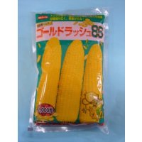 [とうもろこし] ゴールドラッシュ86 2000粒 (株)サカタのタネ
