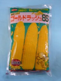 [とうもろこし] ゴールドラッシュ86 2000粒 (株)サカタのタネ