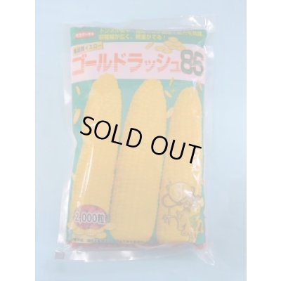 画像1: 送料無料[とうもろこし]　ゴールドラッシュ86　2000粒　(株)サカタのタネ