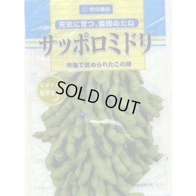画像1: [枝豆]　サッポロミドリ　1L　雪印種苗(株)