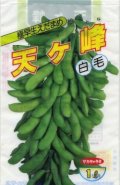 [枝豆]　天ヶ峰　1L　(株)サカタのタネ
