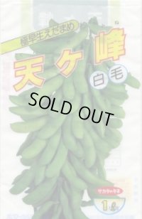 [枝豆]　天ヶ峰　1L　(株)サカタのタネ
