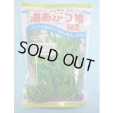 [枝豆]　湯あがり娘　2000粒　カネコ種苗（株）