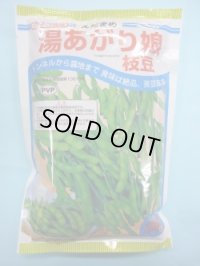 [枝豆]　湯あがり娘　2000粒　カネコ種苗（株）