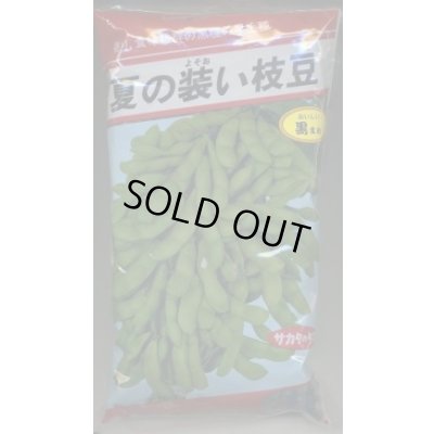 画像1: [枝豆]　夏の装い　1L　(株)サカタのタネ