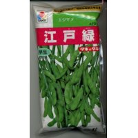 [枝豆]　江戸緑枝豆　1L　タキイ種苗