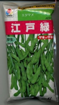 [枝豆]　江戸緑枝豆　1L　タキイ種苗