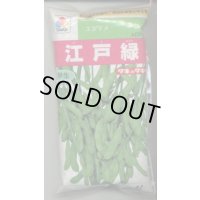 [枝豆]　江戸緑枝豆　1L　タキイ種苗