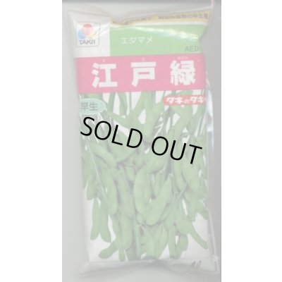 画像1: [枝豆]　江戸緑枝豆　1L　タキイ種苗
