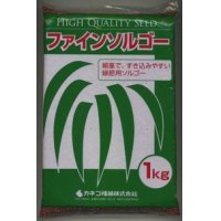 [緑肥]　ソルガム　ファインソルゴー　（イネ科）1ｋｇ　カネコ種苗(株）