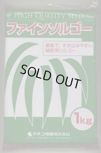 [緑肥]　ソルガム　ファインソルゴー　(イネ科)1kg　カネコ種苗(株)