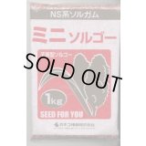 [緑肥]　ソルガム　ミニソルゴー　1kg　カネコ種苗(株)