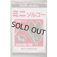 [緑肥]　ソルガム　ミニソルゴー　1kg　カネコ種苗(株)