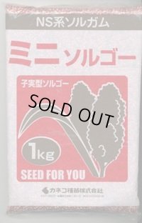 [緑肥]　ソルガム　ミニソルゴー　1kg　カネコ種苗(株)