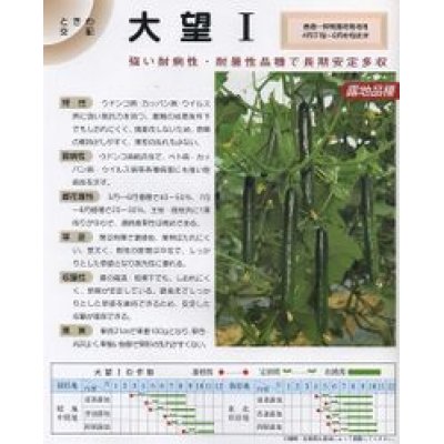 画像2: [キュウリ]　送料無料！大望１　350粒　（株）ときわ研究場