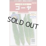 送料無料　[ゴーヤ]　ゴーヤ8粒　(株)サカタのタネ