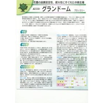 画像2: 送料無料　[ブロッコリー]　グランドーム　ぺレット種子　125粒　(株)サカタのタネ   実咲550（003176）