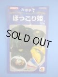 送料無料　[かぼちゃ]　ほっこり姫　100粒　タキイ種苗(株)