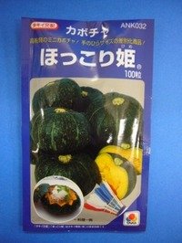 [かぼちゃ]　ほっこり姫　100粒　タキイ種苗（株）